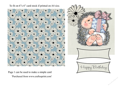 Cute hedgehog stamp birthday 6 x 6 topper card
