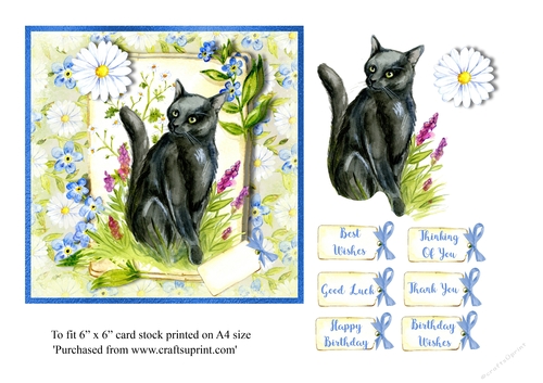 Cat themed birthday card or various greeting card 6 x 6 topper