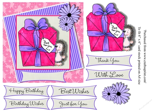 Cute hedgehog holding gift stamp birthday 6 x 6 topper card various greetings