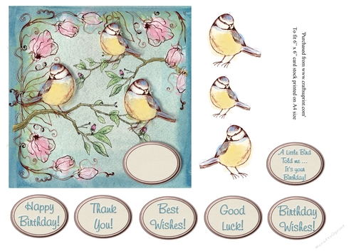 A Little bird told me ... Its your birthday! vintage style card topper for 6 x 6 card stock