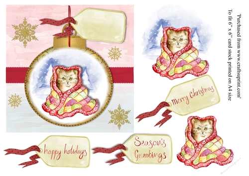 Christmas Cat in blanket within a gold bauble card topper for 6 x 6