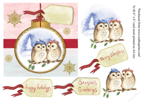 Owls in hat christmas card topper for 6 x 6 card