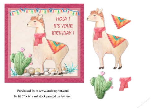 Hola Its your birthday! Llama birthday card topper for 6 x 6 card 