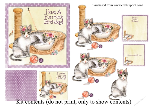Cute grey kittens with flowers birthday mini kit for 7 x 7 card with insert and tags.