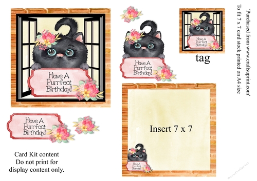 Cute Black Cat Birthday card 7 x 7 mini kit with decoupage elements. insert and tag