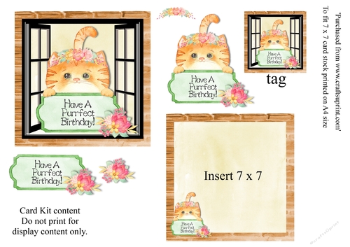 Cute Ginger Cat Birthday card 7 x 7 mini kit with decoupage elements. insert and tag