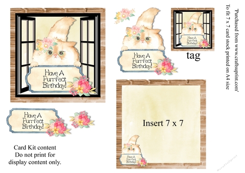 Cute Fluffy Cat Birthday card 7 x 7 mini kit with decoupage elements. insert and tag