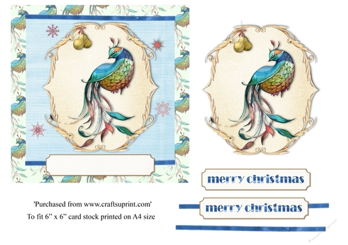 Vintage Christmas card Peacock and pear for topper for 6x6 card
