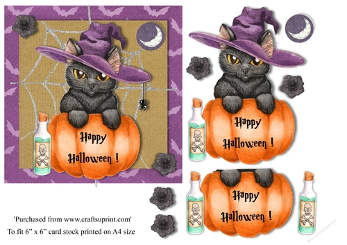 Halloween Cat and pumpkin topper for 6x6 card