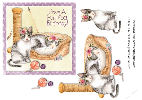 Cute grey kittens with flowers topper for 6x6 card