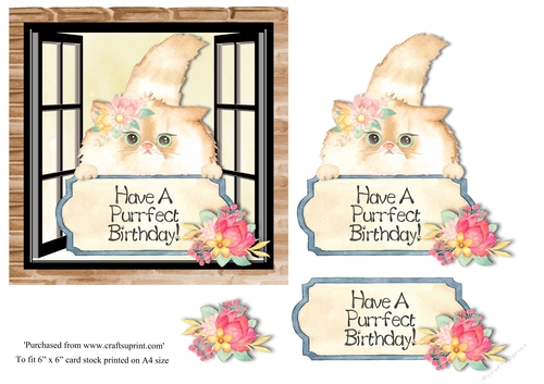 Cute Fluffy Cat Birthday topper for 6x6 card
