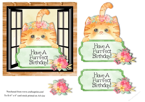 Cute Ginger Cat Birthday topper for 6x6 card