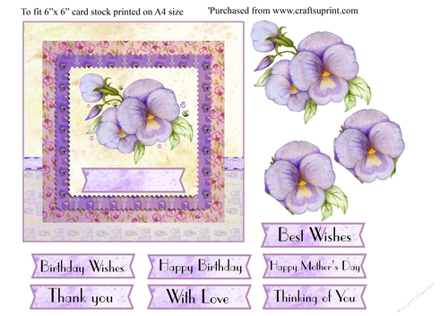 Beautiful Pansy greetings card 6 x 6 topper card