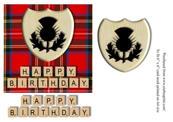 Male Birthday card in Royal Stewart tartan, thistle emblem and scrabble letters topper for 6x6 card