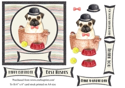Cute pug in basket birthday card topper for 6x6 card