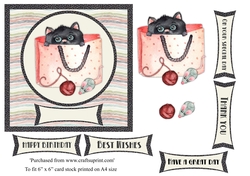 Cute black cat in a bag birthday card topper for 6x6 card