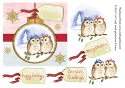 Owls in hat christmas card topper for 6 x 6 card