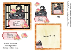 Cute Black Cat Birthday card 7 x 7 mini kit with decoupage elements. insert and tag