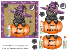 Halloween Cat and pumpkin topper for 6x6 card