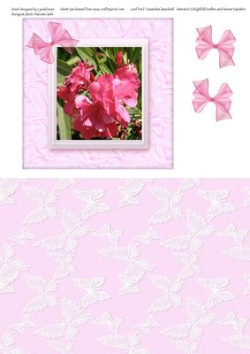 Pink Oleander in a Silk Frame