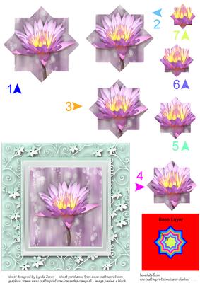 Mauve Waterlily Double Star Pyramid