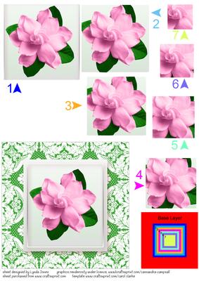 Pink Camelia Square Pyramid