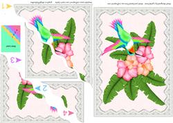 Hummingbird in a Lace Frame