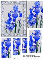 Painted Irises