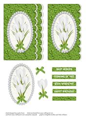 Crocus in a Green Silk Frame