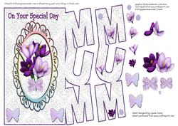 Special Day