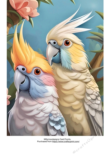Beautiful Birds Card Fronts A4 A5 A6