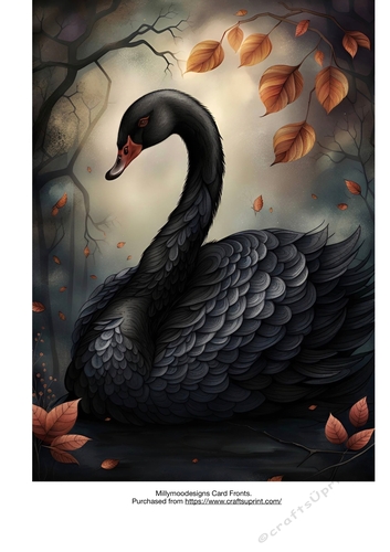 The Black Swan Card Fronts A4 A5 A6