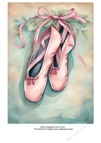 The Ballet Shoes A4 A5 A6