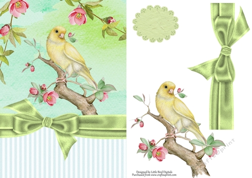 Bird Song Card Topper/Quick Card