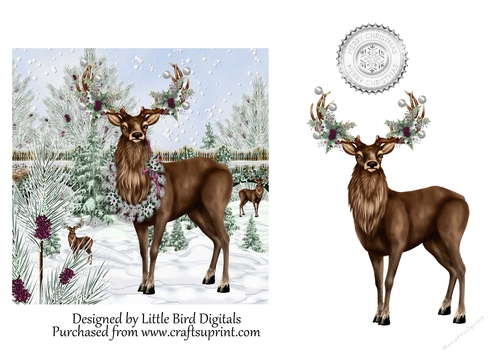 Christmas Deer 6x6 Quick card