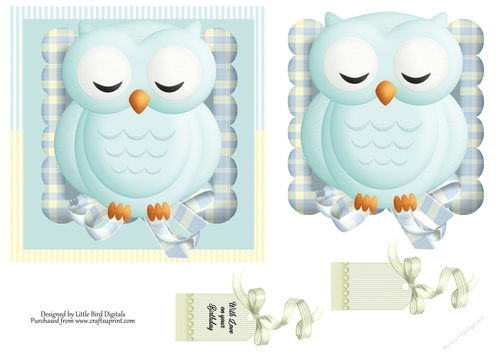 Birthday Owl 6x6 Quick card