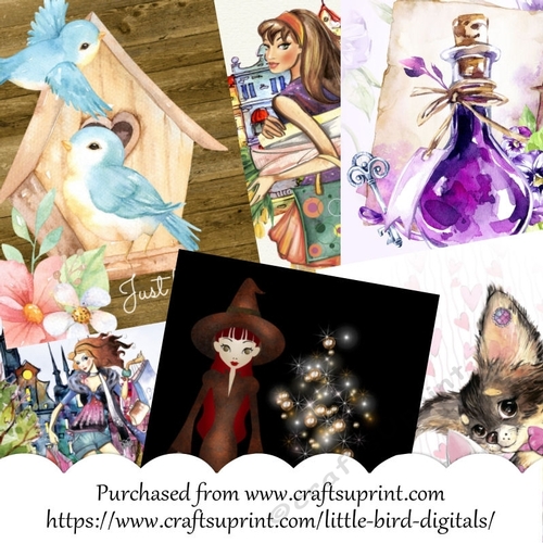 5x7 Card Fronts Pack of 8