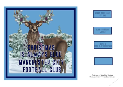 Its always blue at Christmas 7x7 quick card