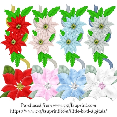 CU Christmas flowers