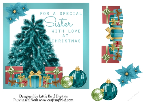Special Sister 7x7 Quick card