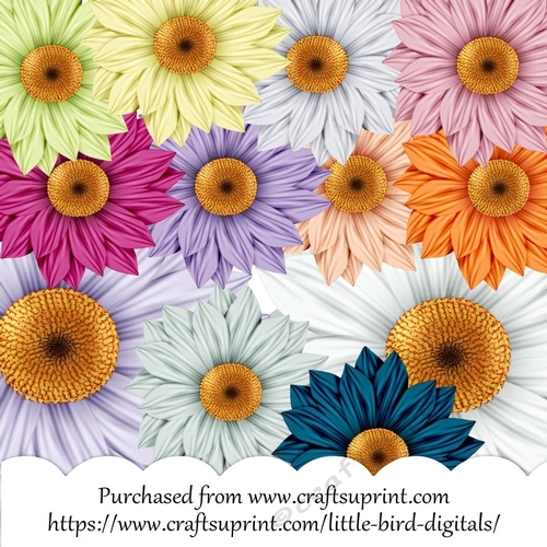 Delightful Daisies