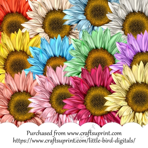 Mixed Sunflowers