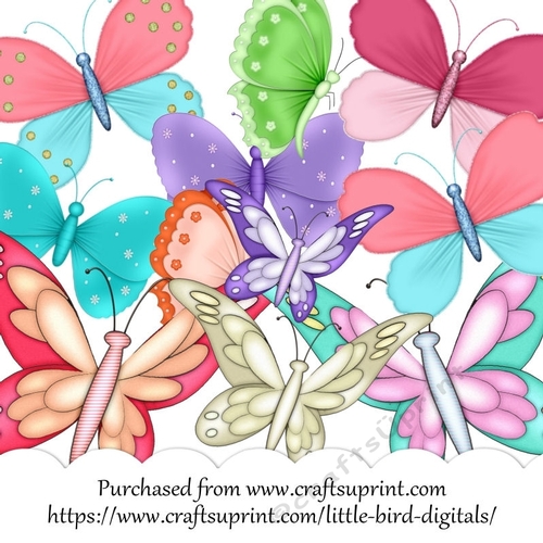 Butterfly Explosion