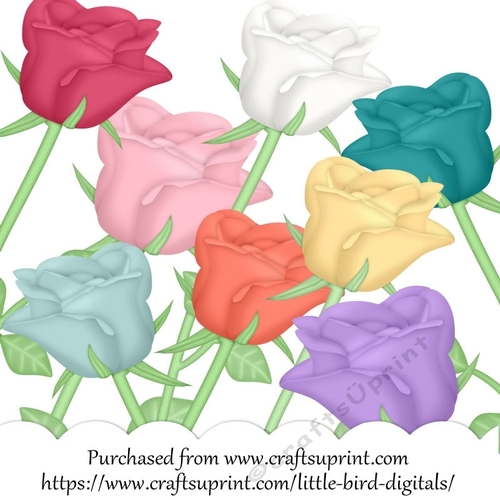 CU4CU STEMMED ROSES