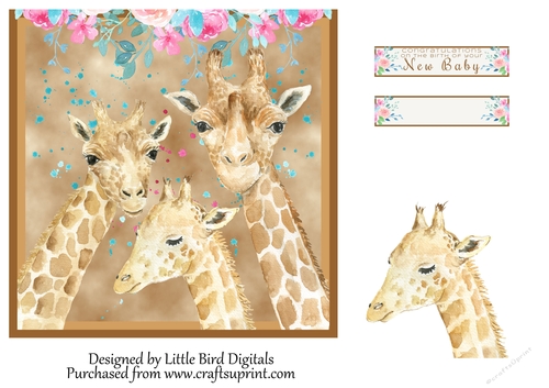 7X7 New Baby Giraffes Quick card