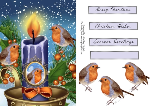 Christmas Robin Family Quick Card