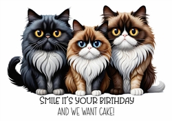 We Want Cake A4 Landscape