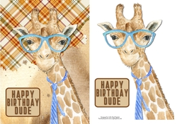 Happy Birthday Dude Quick card/Topper