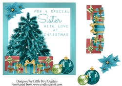 Special Sister 7x7 Quick card