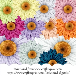 Delightful Daisies
